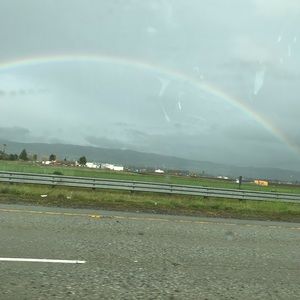 Meet your Posher, Letty